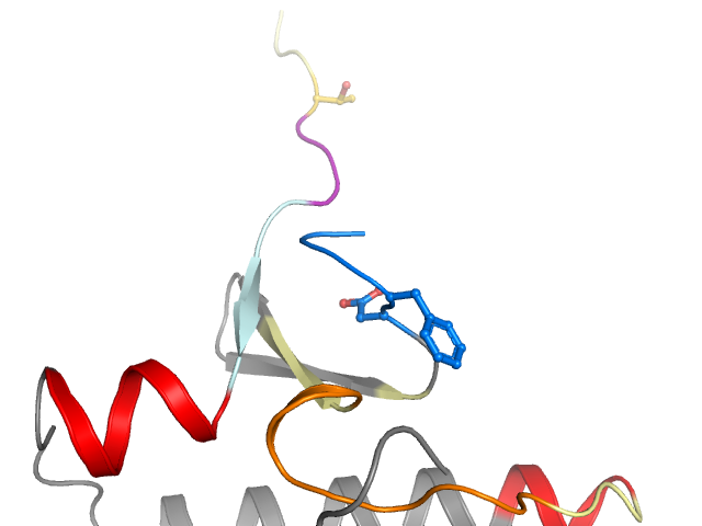 The orthosteric binding pocket