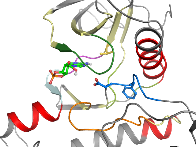 The orthosteric binding pocket