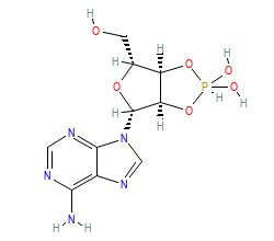 2D structure of the orthosteric ligand