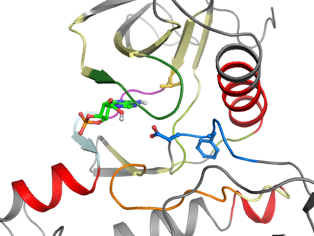 The orthosteric binding pocket