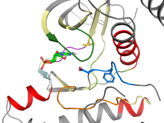 The orthosteric binding pocket