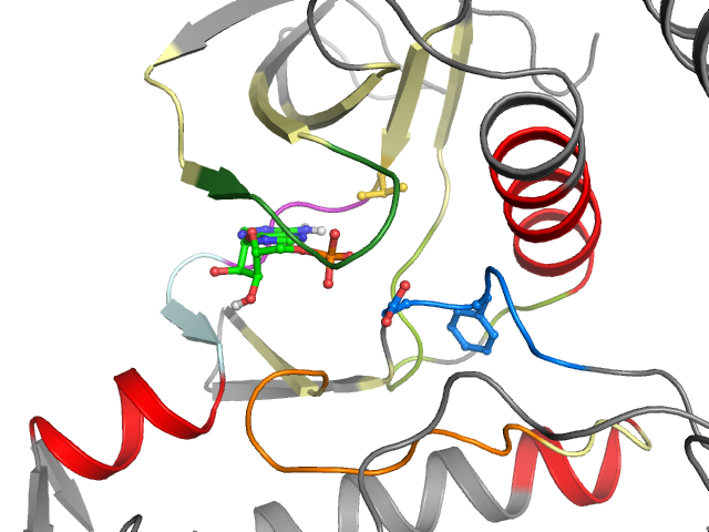 The orthosteric binding pocket