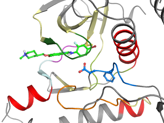 The orthosteric binding pocket