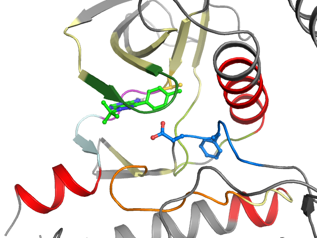 The orthosteric binding pocket