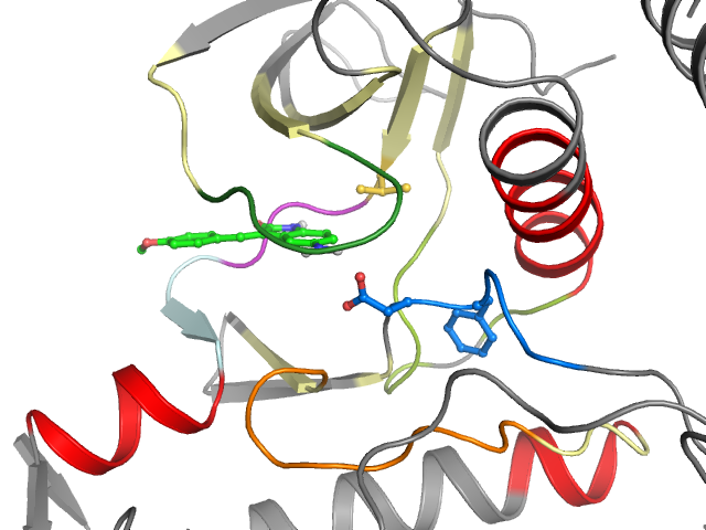 The orthosteric binding pocket