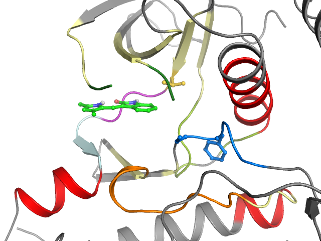 The orthosteric binding pocket