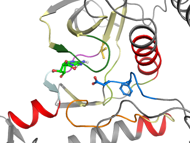 The orthosteric binding pocket