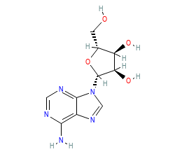 2D structure of the orthosteric ligand