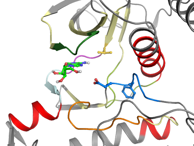 The orthosteric binding pocket