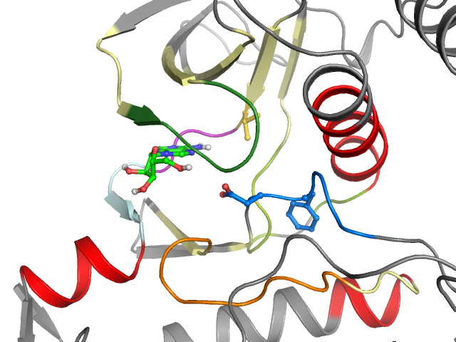 The orthosteric binding pocket