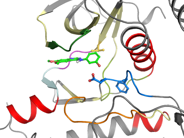The orthosteric binding pocket