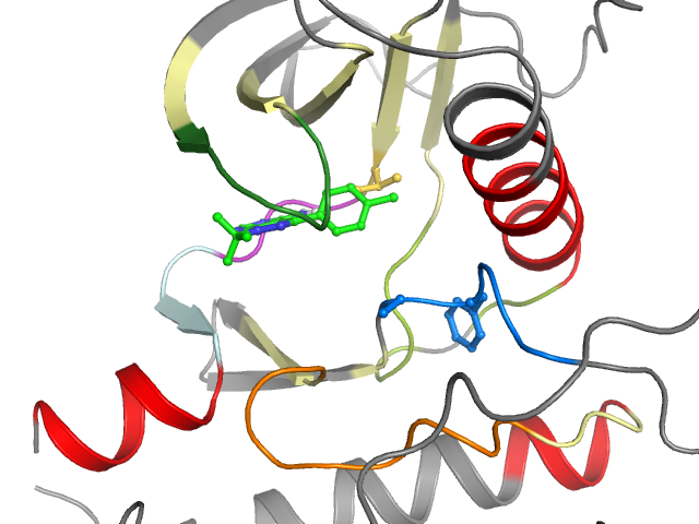The orthosteric binding pocket