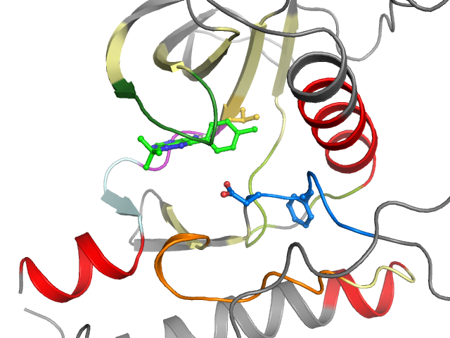 The orthosteric binding pocket