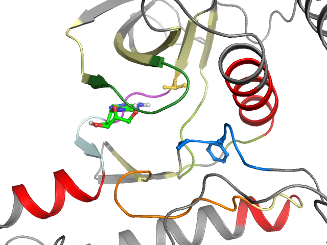 The orthosteric binding pocket