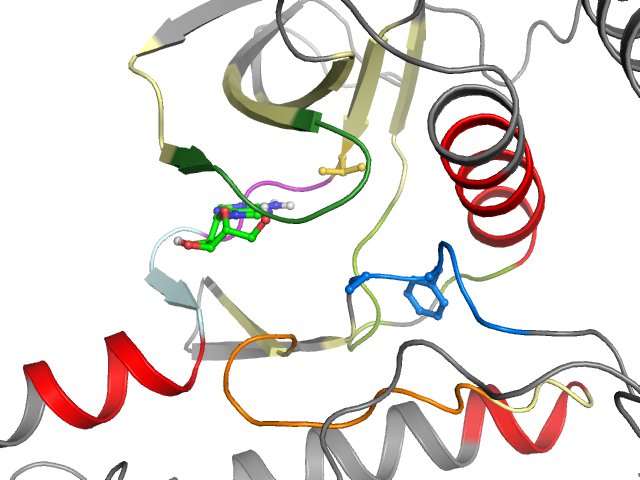 The orthosteric binding pocket
