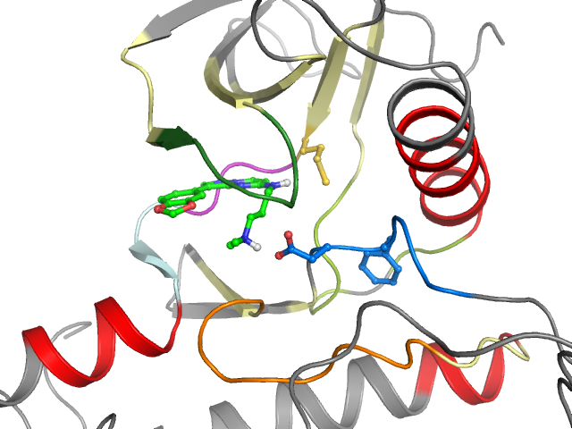 The orthosteric binding pocket