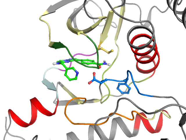 The orthosteric binding pocket