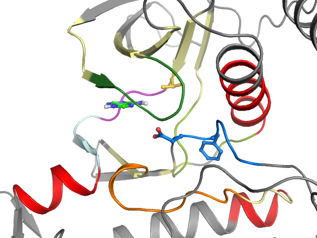 The orthosteric binding pocket