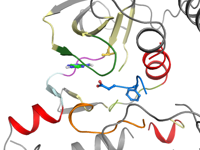 The orthosteric binding pocket