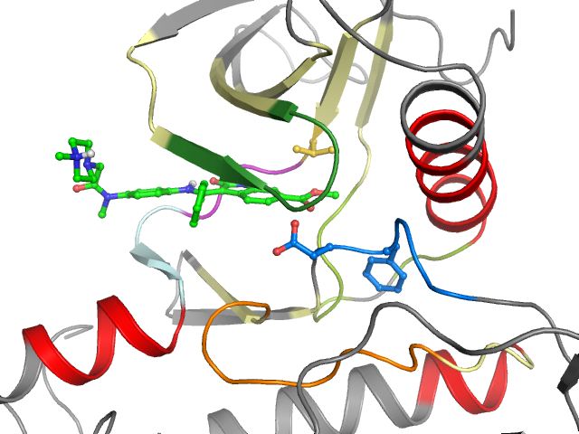 The orthosteric binding pocket