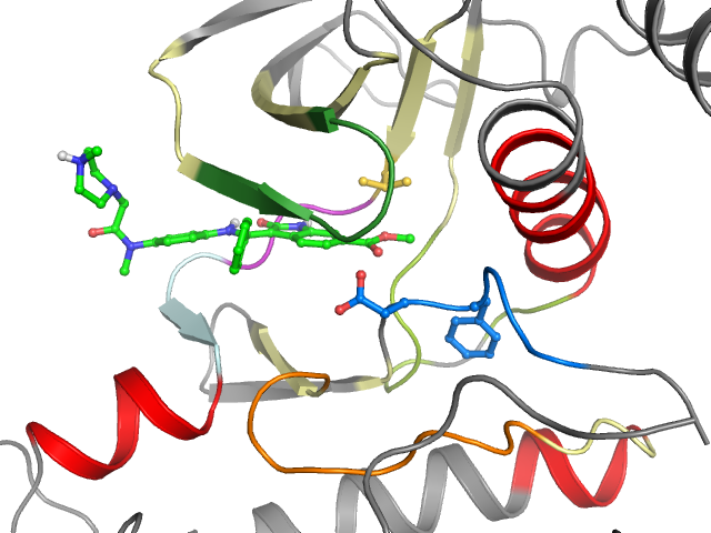 The orthosteric binding pocket