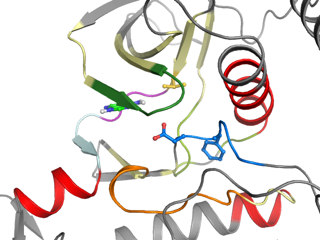 The orthosteric binding pocket