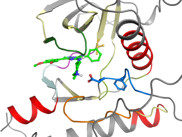 The orthosteric binding pocket