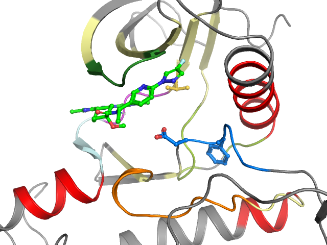 The orthosteric binding pocket