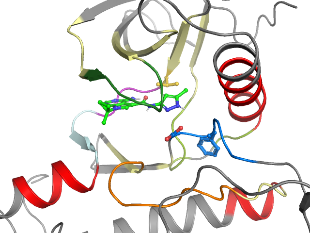The orthosteric binding pocket