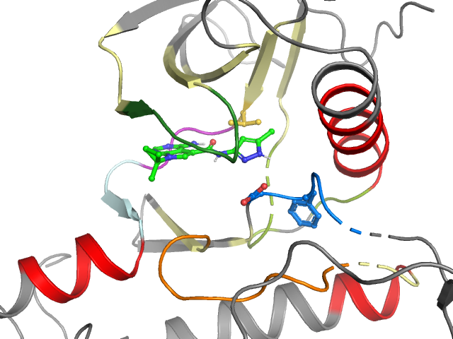 The orthosteric binding pocket