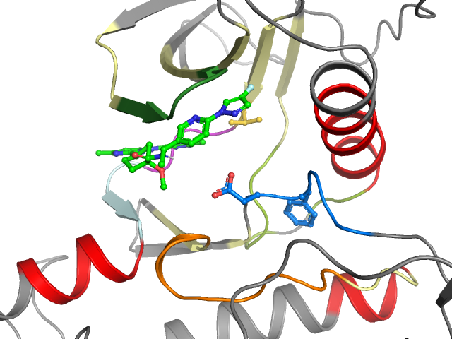 The orthosteric binding pocket