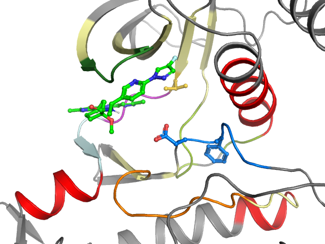 The orthosteric binding pocket