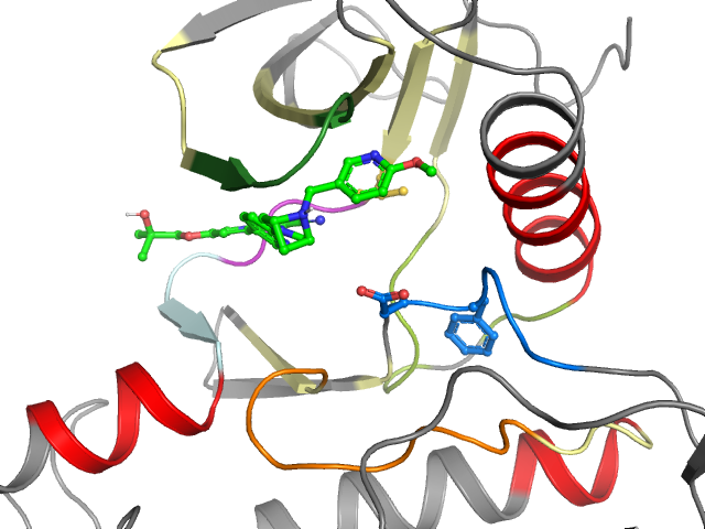 The orthosteric binding pocket