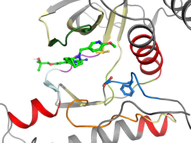 The orthosteric binding pocket