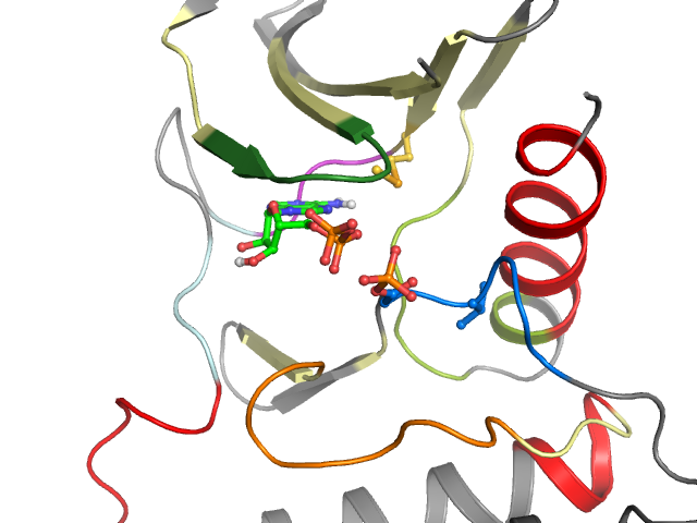 The orthosteric binding pocket