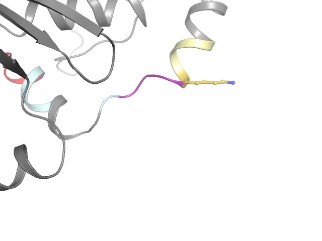 The orthosteric binding pocket