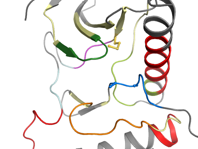 The orthosteric binding pocket