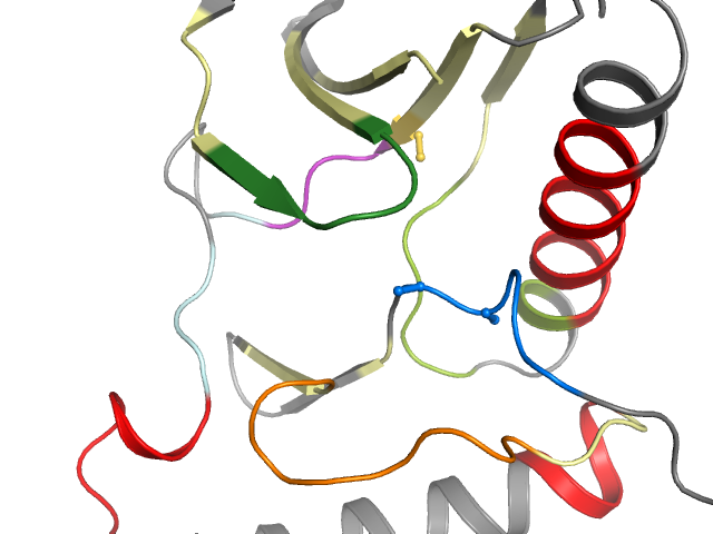The orthosteric binding pocket