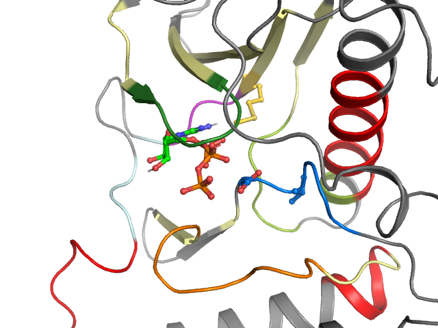 The orthosteric binding pocket