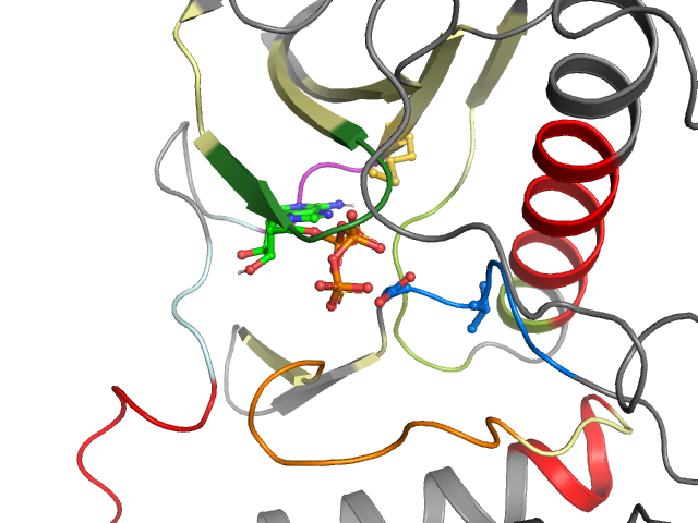 The orthosteric binding pocket
