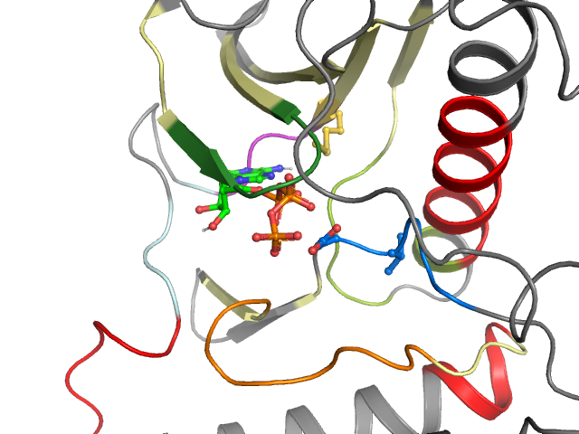 The orthosteric binding pocket