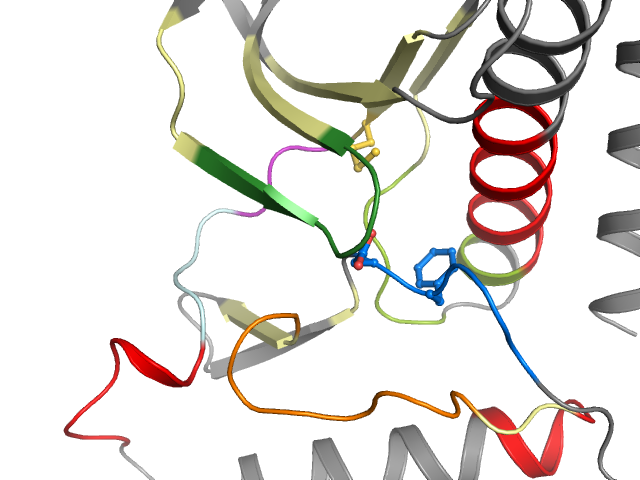 The orthosteric binding pocket