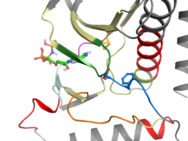 The orthosteric binding pocket