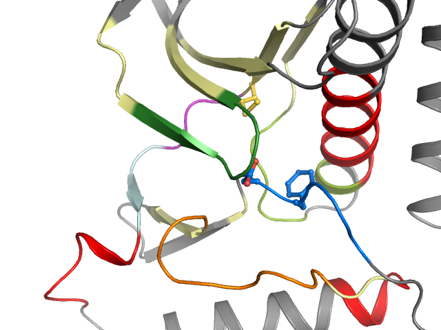 The orthosteric binding pocket