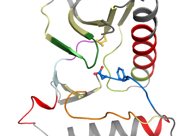 The orthosteric binding pocket