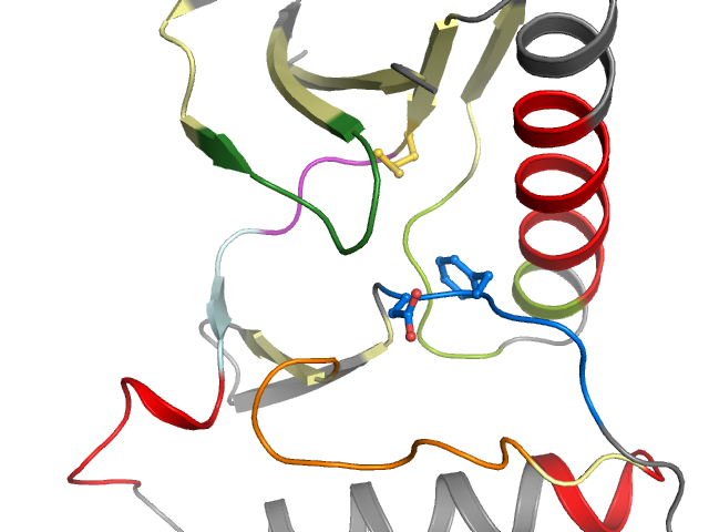 The orthosteric binding pocket