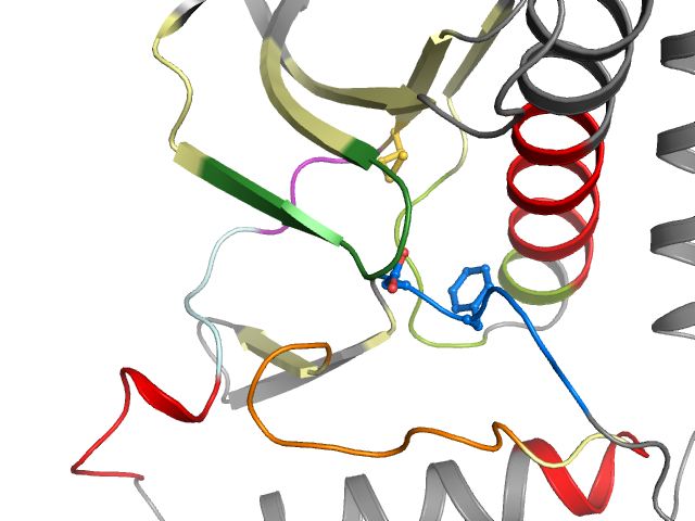The orthosteric binding pocket