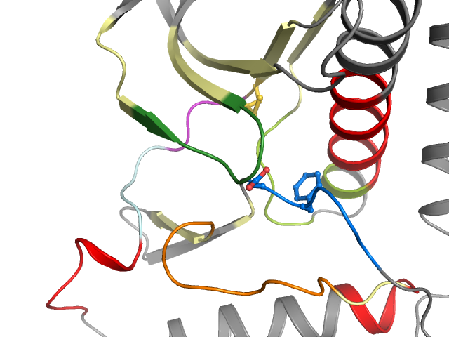 The orthosteric binding pocket