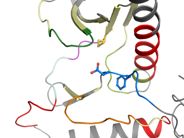 The orthosteric binding pocket