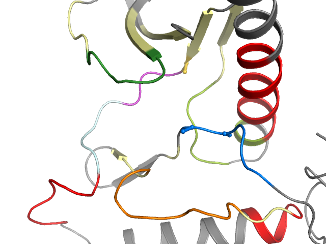 The orthosteric binding pocket
